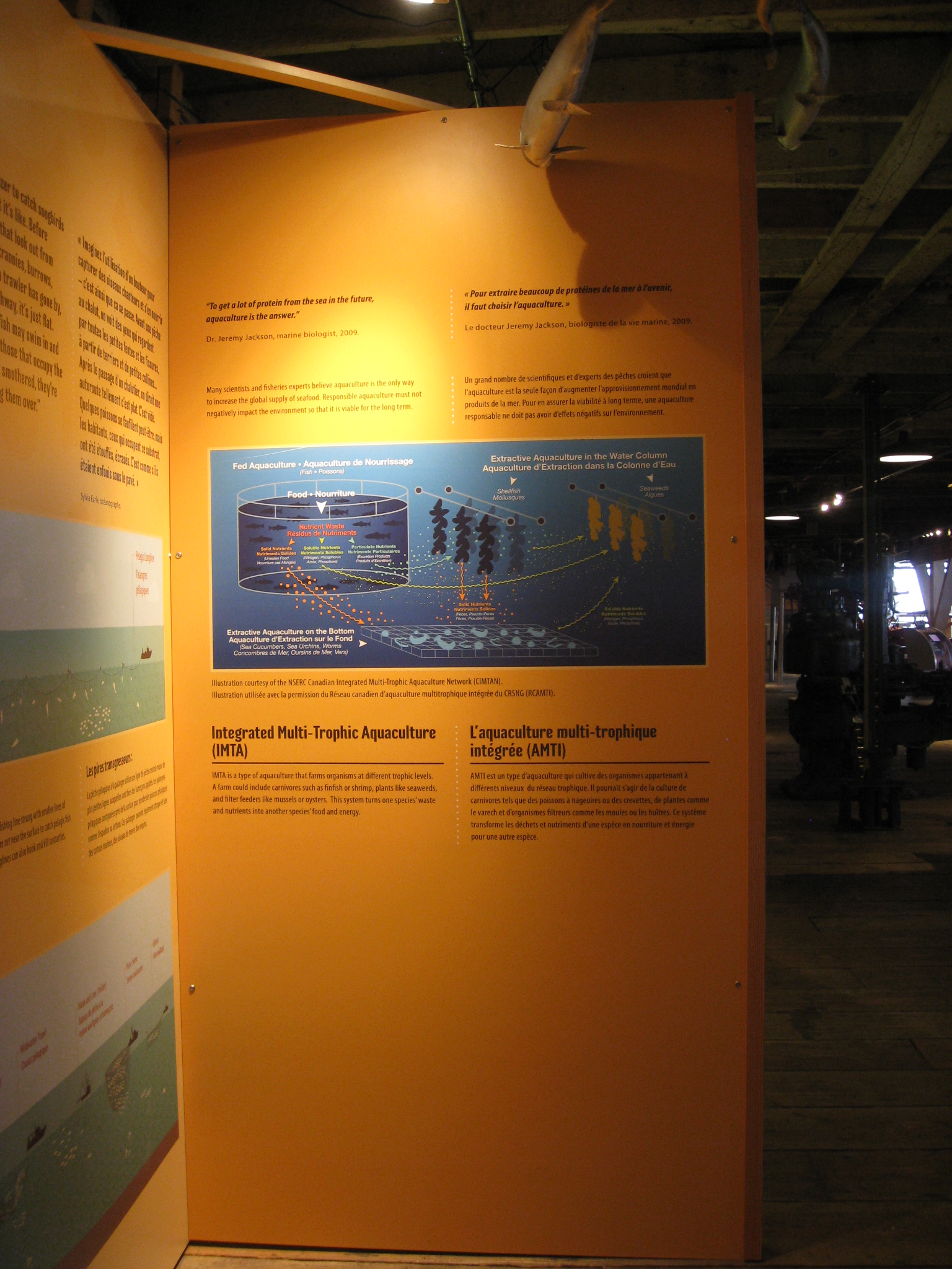 IMTA display at the temporary exhibit “Seafood for Thought” at the Gulf of Georgia Cannery in Richmond, British Columbia.